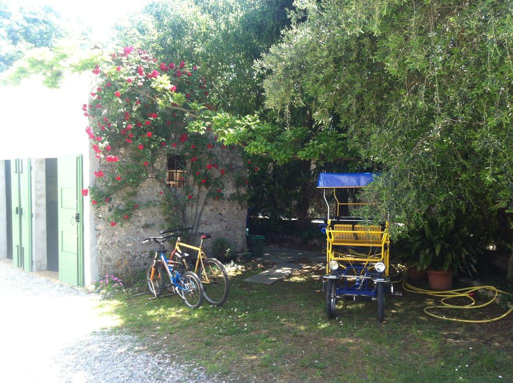 Corte Canale Virgilio Hotel Volta Mantovana Exterior foto